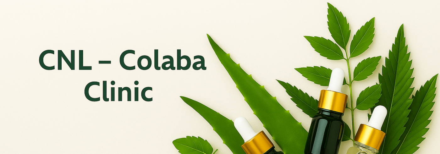 ChatGPT Image Sep 1, 2025, 12_52_02 PM (1)